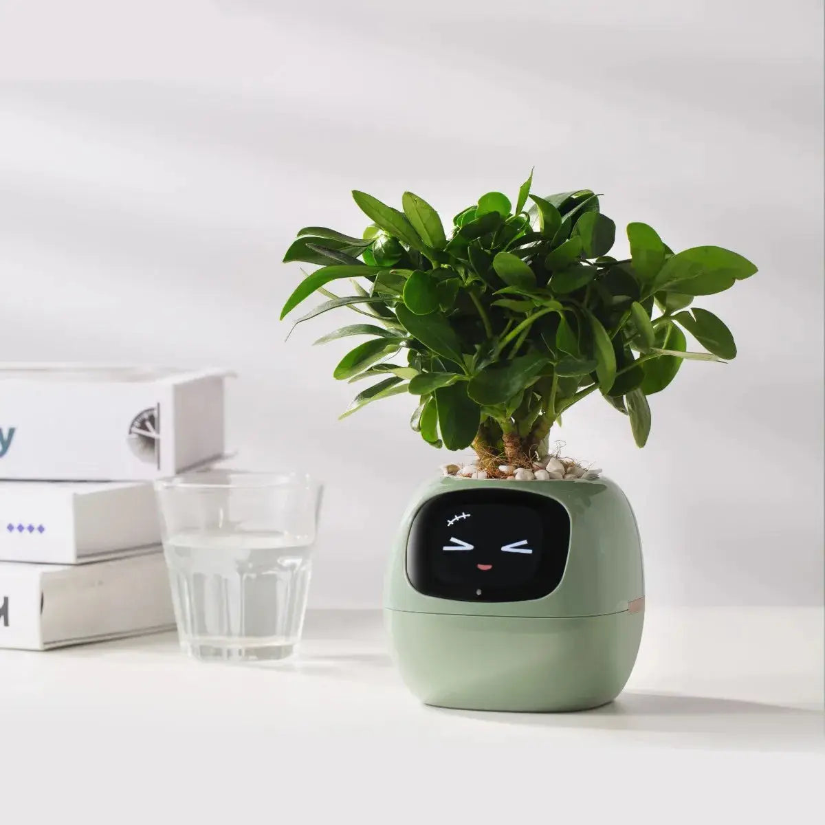 Bloomi™ – The AI-Powered Plant That Feels - Fun&Fix