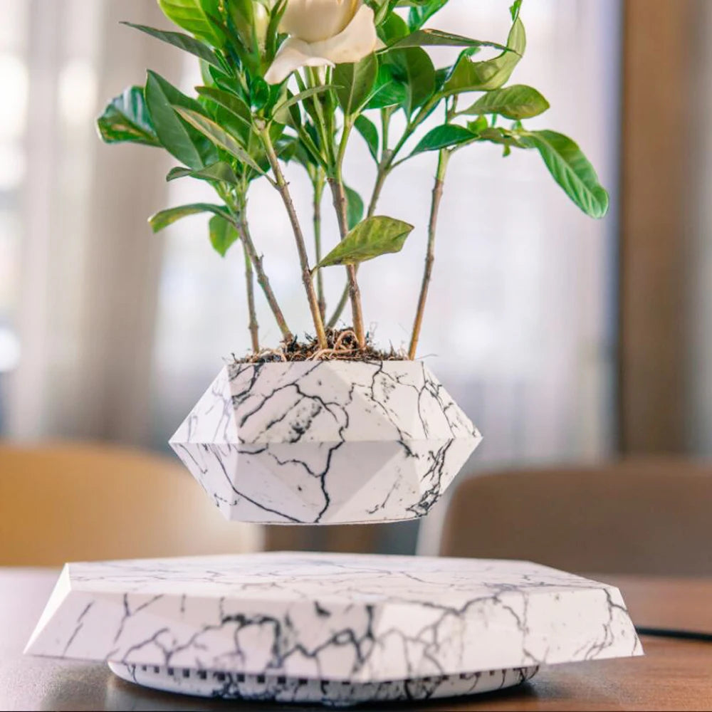 Levitating Bonsai Pot™ - Fun&Fix