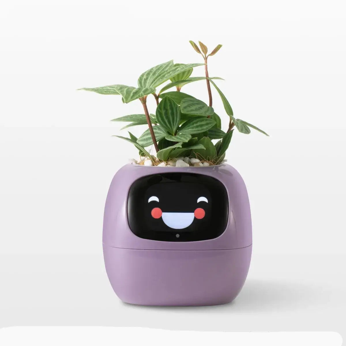 Bloomi™ – The AI-Powered Plant That Feels - Fun&Fix