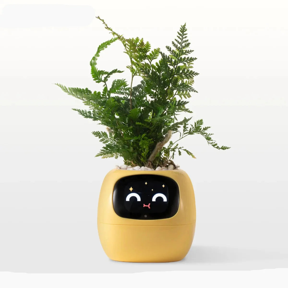 Cozy & Smart Gadgets