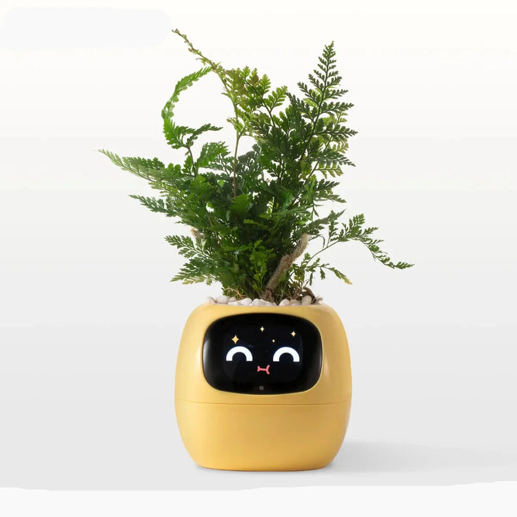 Cozy & Smart Gadgets
