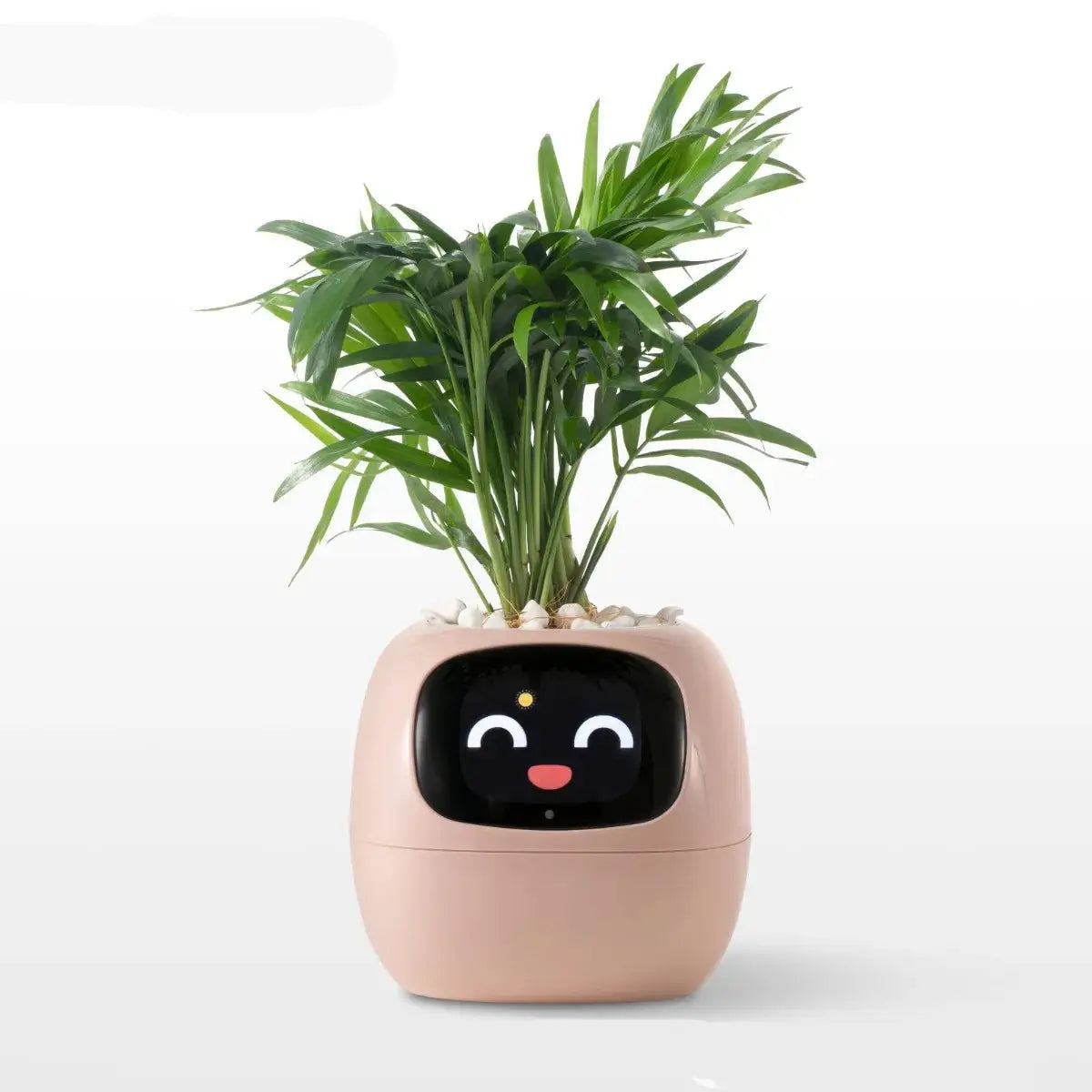 Bloomi™ – The AI-Powered Plant That Feels - Fun&Fix