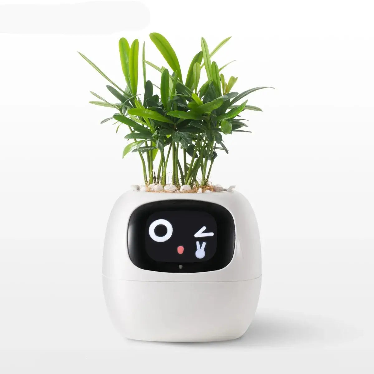 Bloomi™ – The AI-Powered Plant That Feels - Fun&Fix