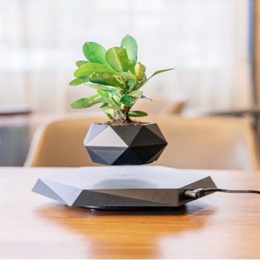Levitating Bonsai Pot™ - Fun&Fix