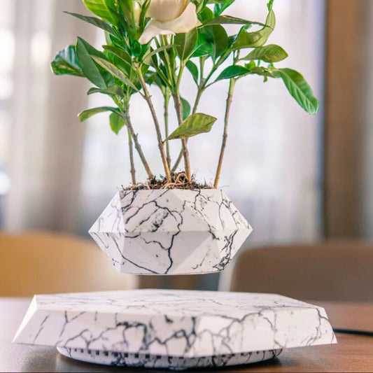 Levitating Bonsai Pot™ - Fun&Fix