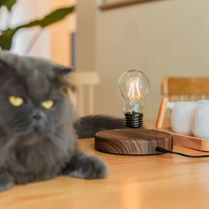 Levitating Edison Bulb Lamp™ - Fun&Fix